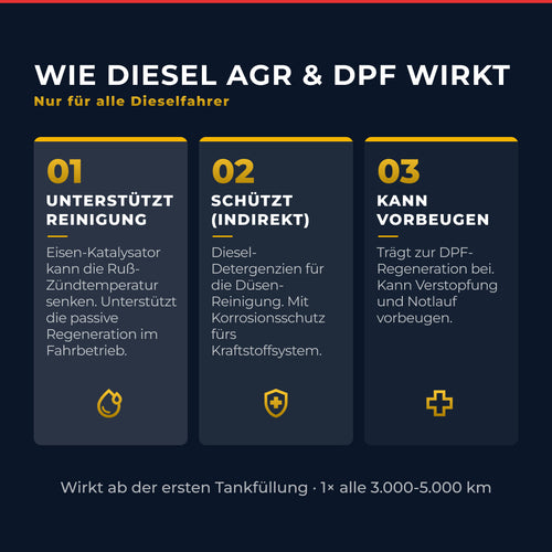 Diesel AGR & DPF Reiniger & Schutz – 300 ml