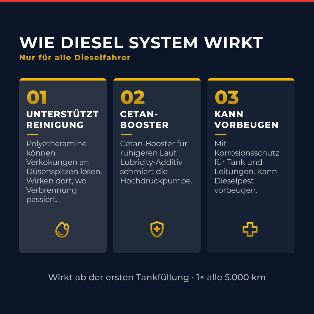 Diesel System Reinigung & Schutz – 300 ml