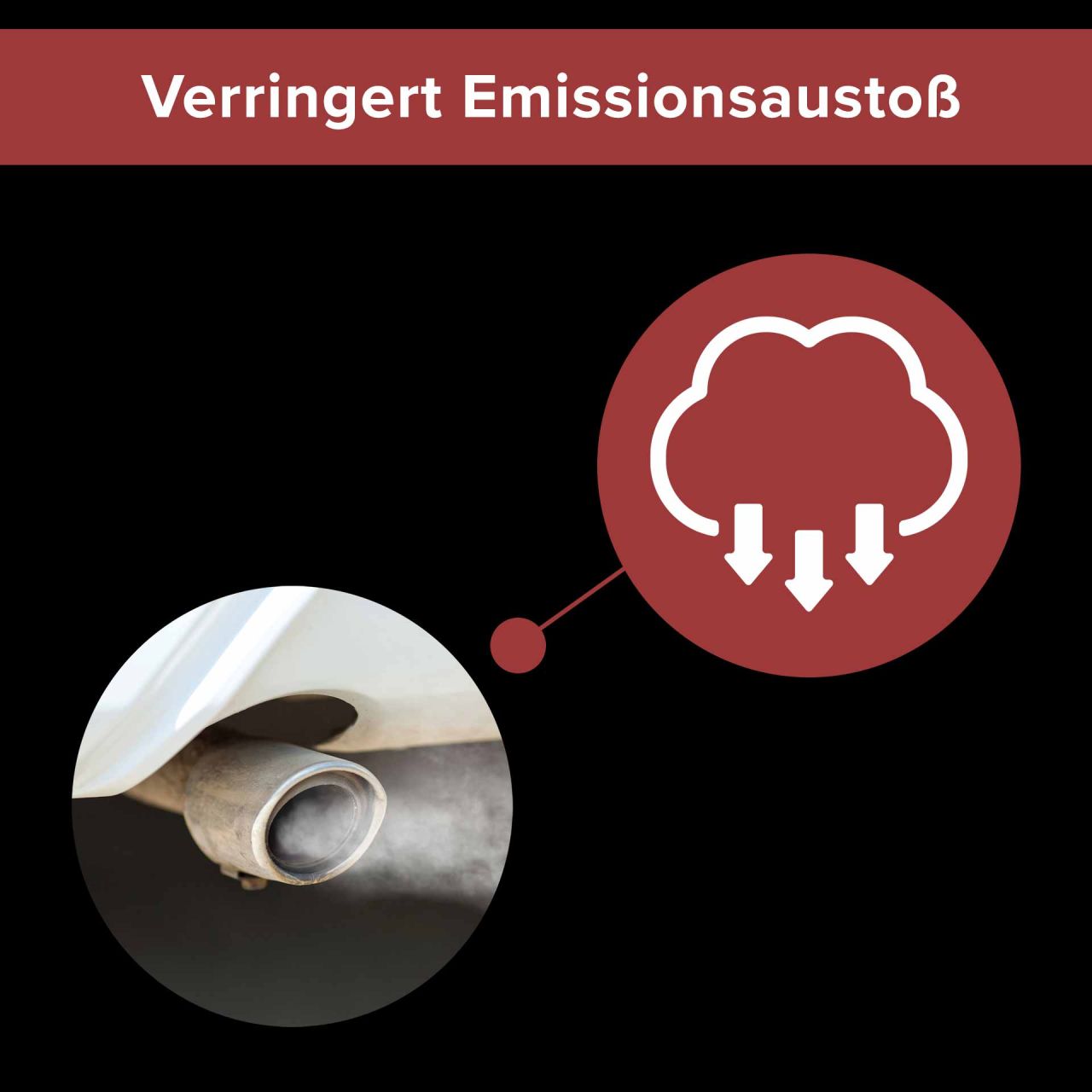 Benzin Einspritzdüsen Reiniger und Schutz 300 ml