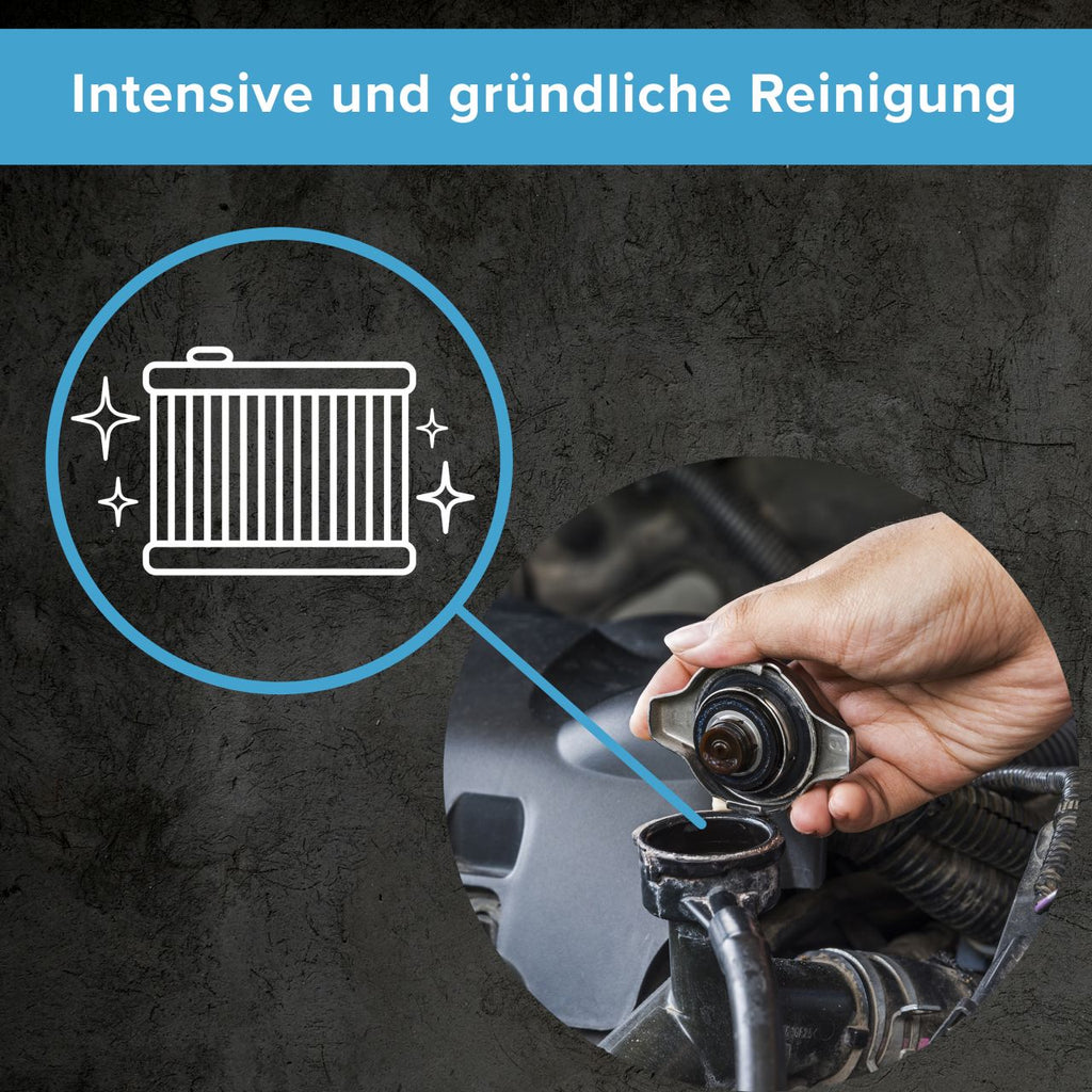 Kühler Reinigung und Schutz 300 ml